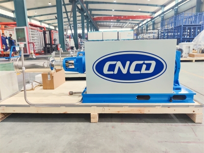 Cryogenic L-CNG pump